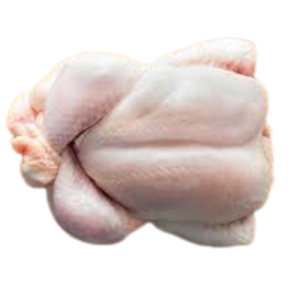 Chicken (Broiler)
